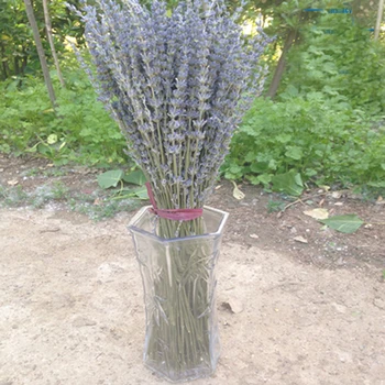 100 g de secado natural bouquets de flores secas naturales inglés ramo de flores de Lavanda y general de lavanda azul Racimos de flores