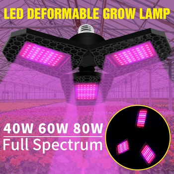 E27 LED Crecen la Luz Fitolampy 220V Espectro Completo Led Lámpara de Planta E26 el Crecimiento de la Tienda de 40W 60W 80W Semillas de Flores Lampada LED Plantas de Bulbo