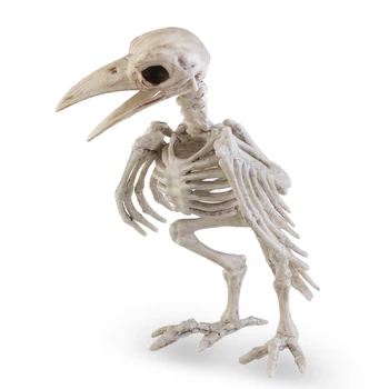 Halloween Loco Esqueleto De Hueso Raven De Plástico De Animales Los Huesos De Un Esqueleto De Terror De Halloween Prop Pájaro Cuervo Esqueleto De La Decoración